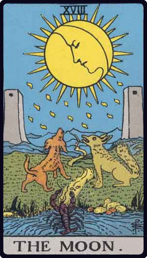 Tarot Card