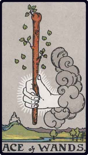 Tarot Card